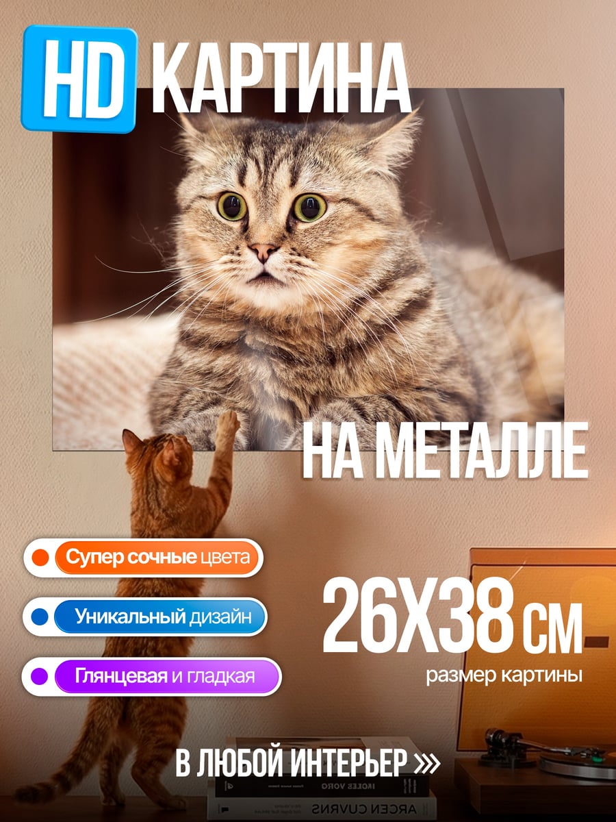 Картина на металле Удивленный кот