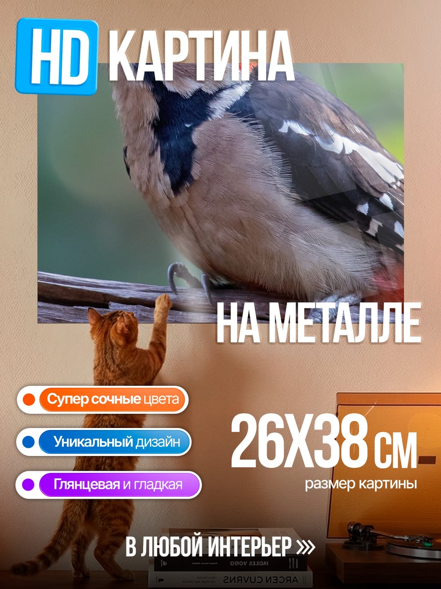 Картина на металле дятел на ветке