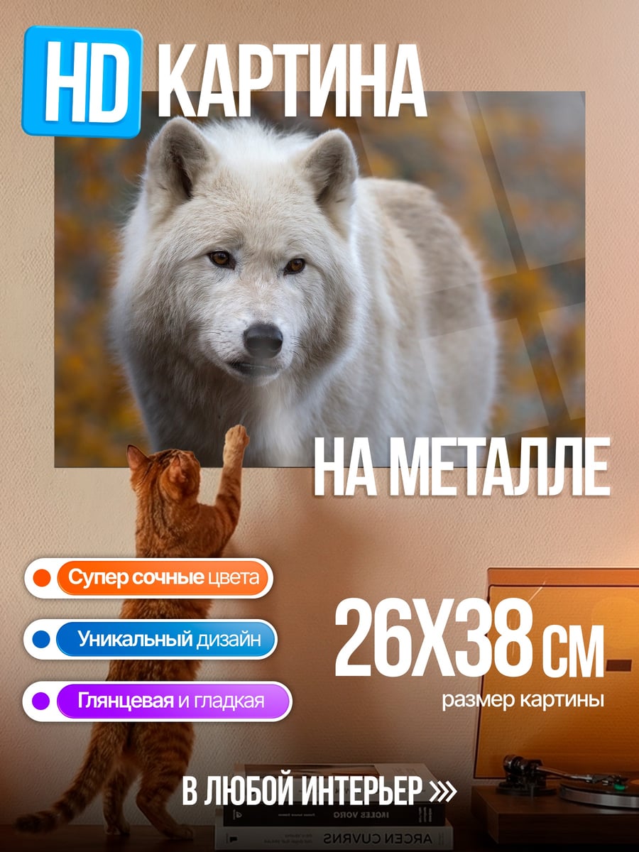 Картина на металле белый волк осенью
