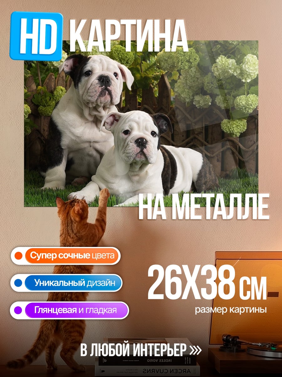 Картина на металле Щенки бульдога