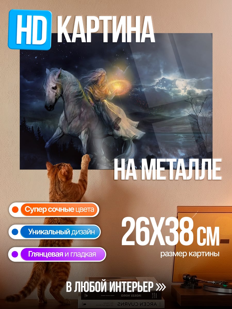 Картина на металле Девушка на пегасе