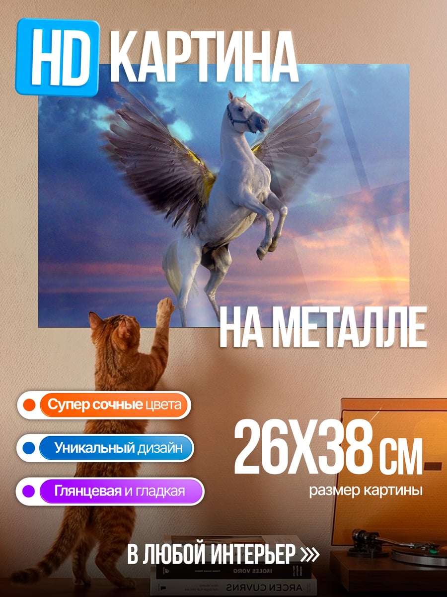 Картина на металле Пегас в небе