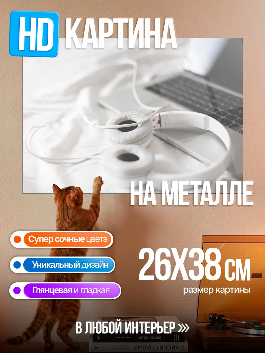 Картина на металле Наушники и ноутбук