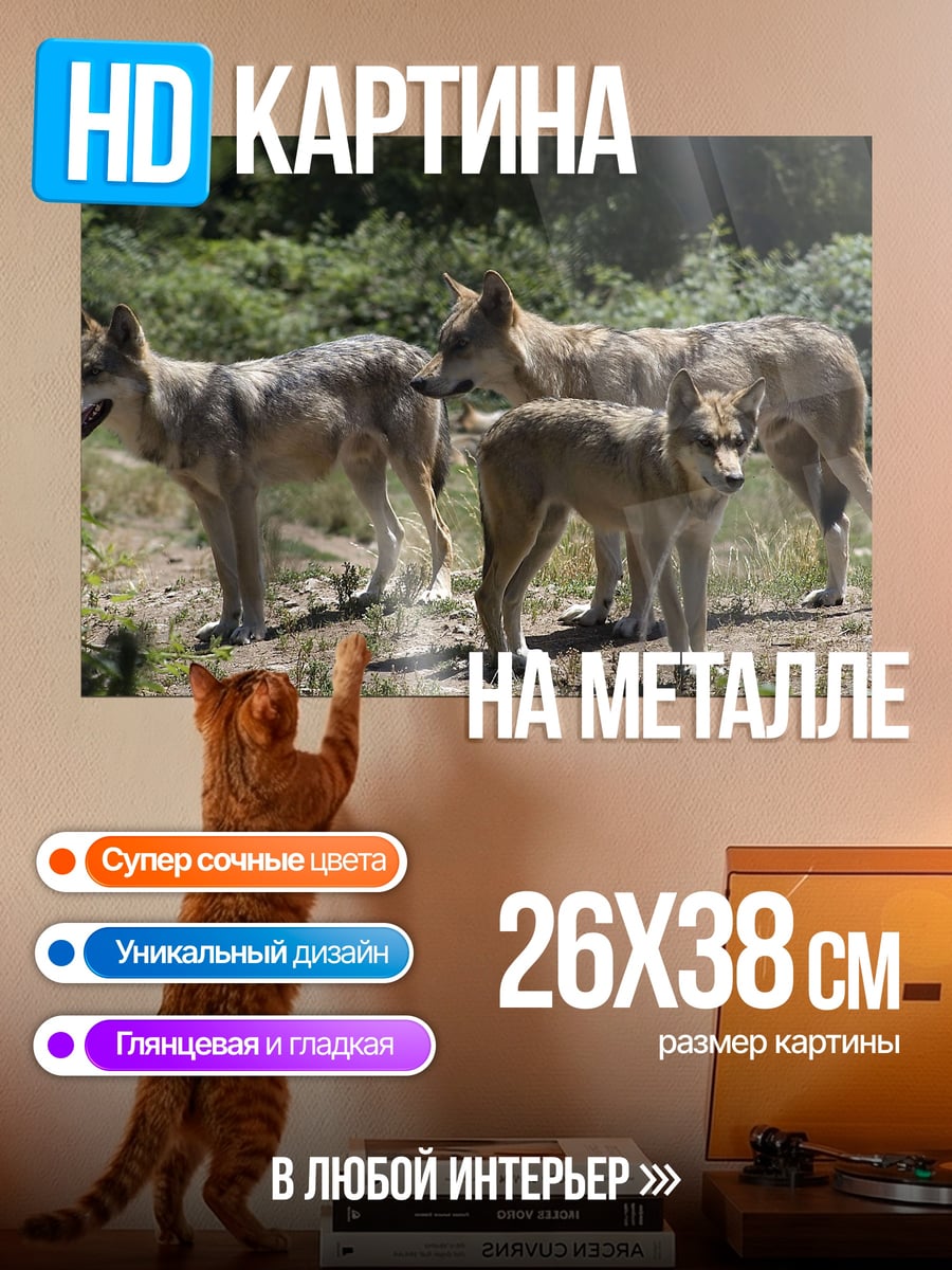 Картина на металле стая волков в лесу