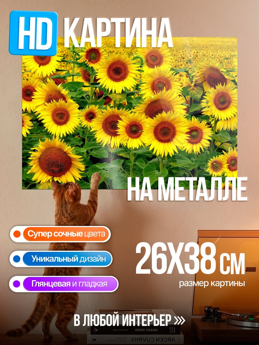 Картина на металле поле подсолнухов