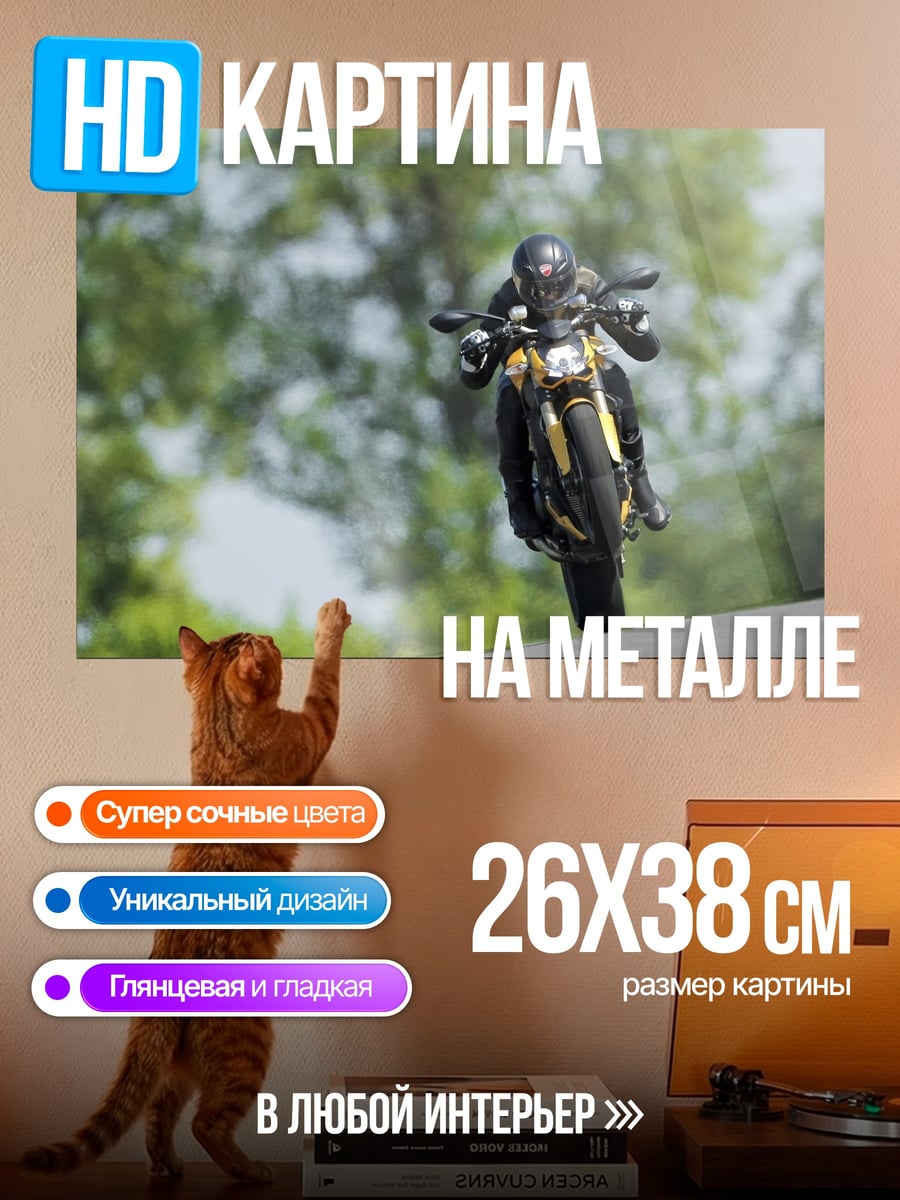 Картина на металле Мотоциклист на дороге