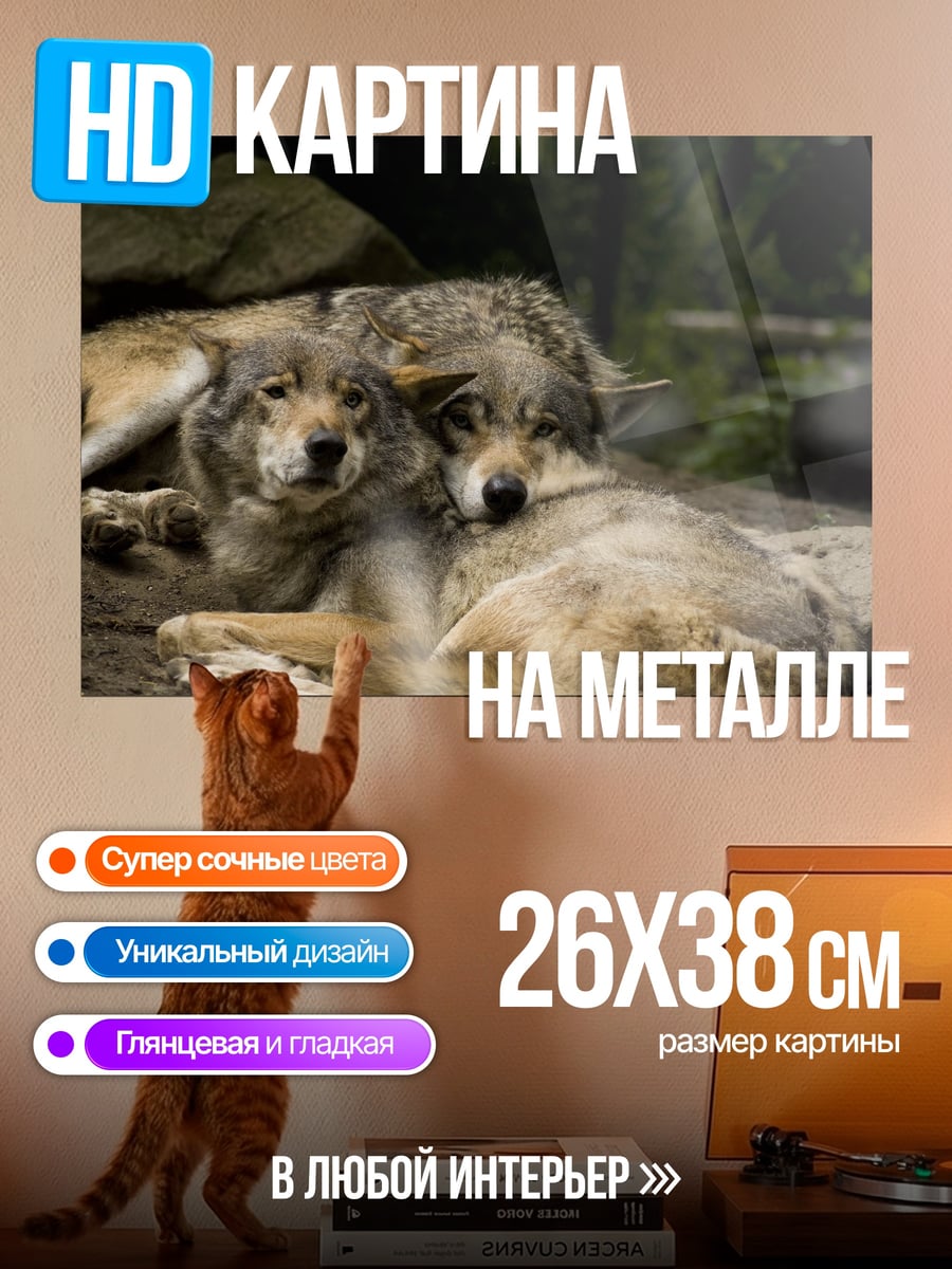 Картина на металле Два волка лежат