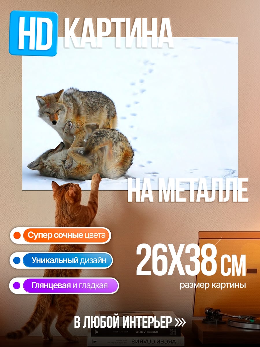 Картина на металле Волки в снегу