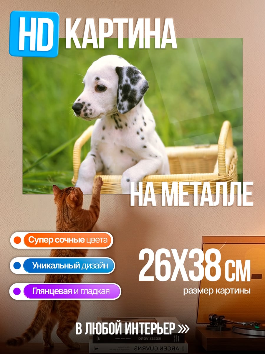 Картина на металле Щенок далматинца корзина