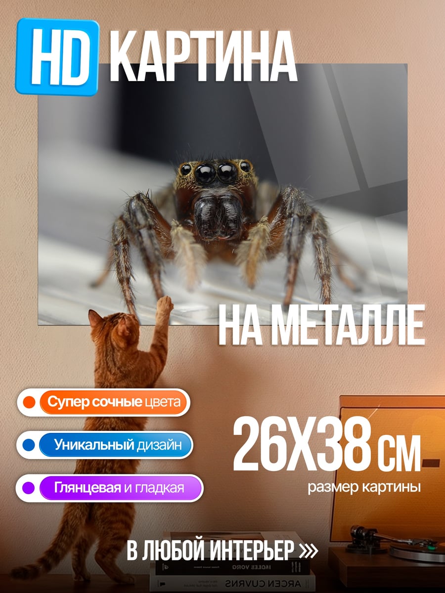 Картина на металле Паук-скакун