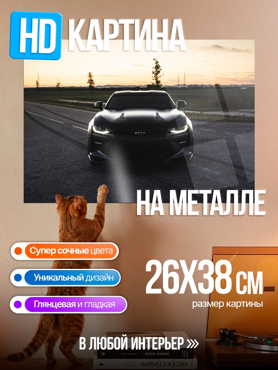 Картина на металле Черный спорткар закат