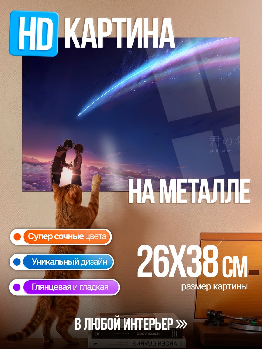 Картина на металле Пара под падающей звездой