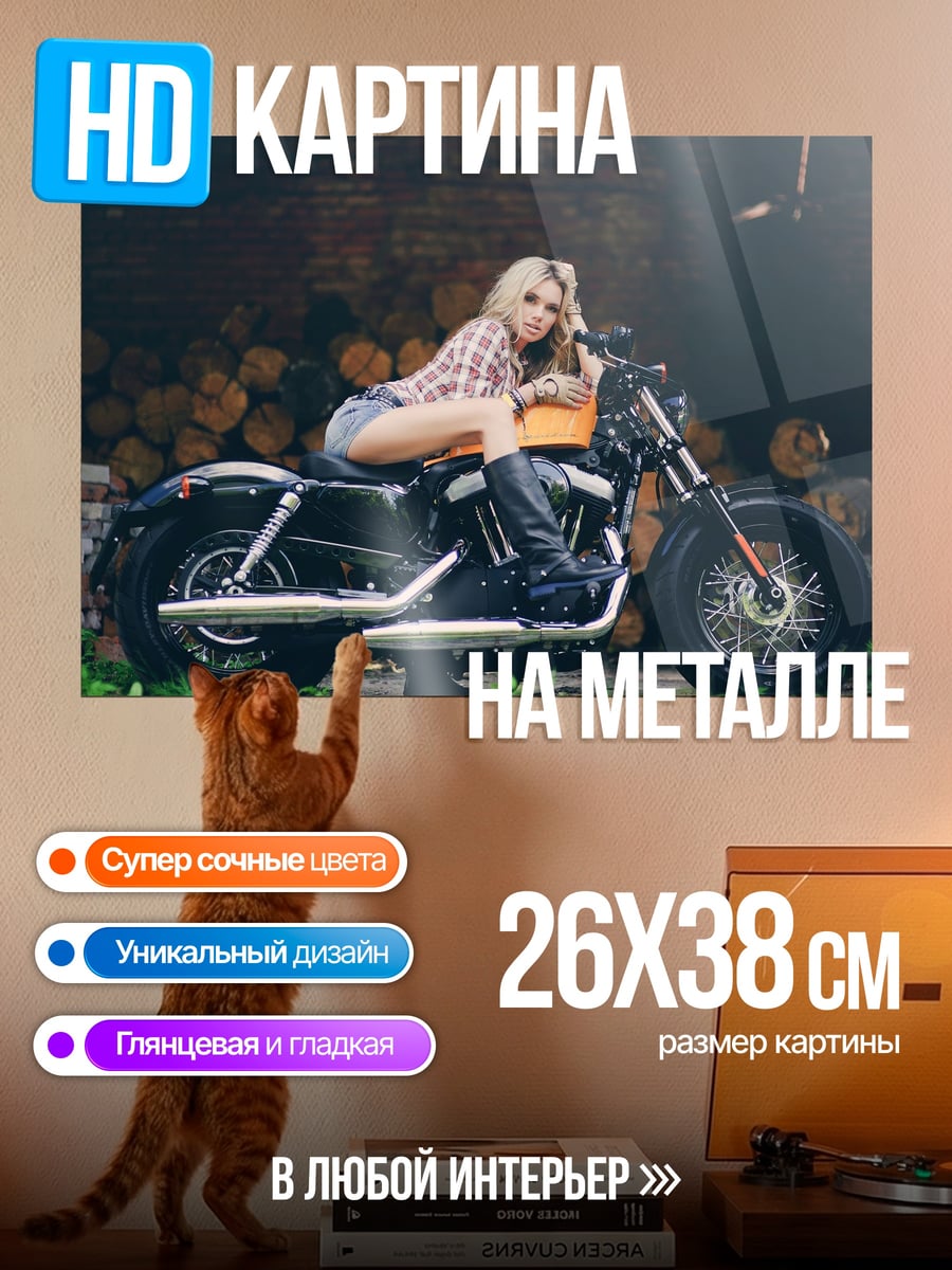 Картина на металле Девушка на мотоцикле