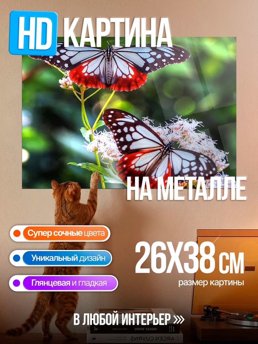 Картина на металле Две бабочки