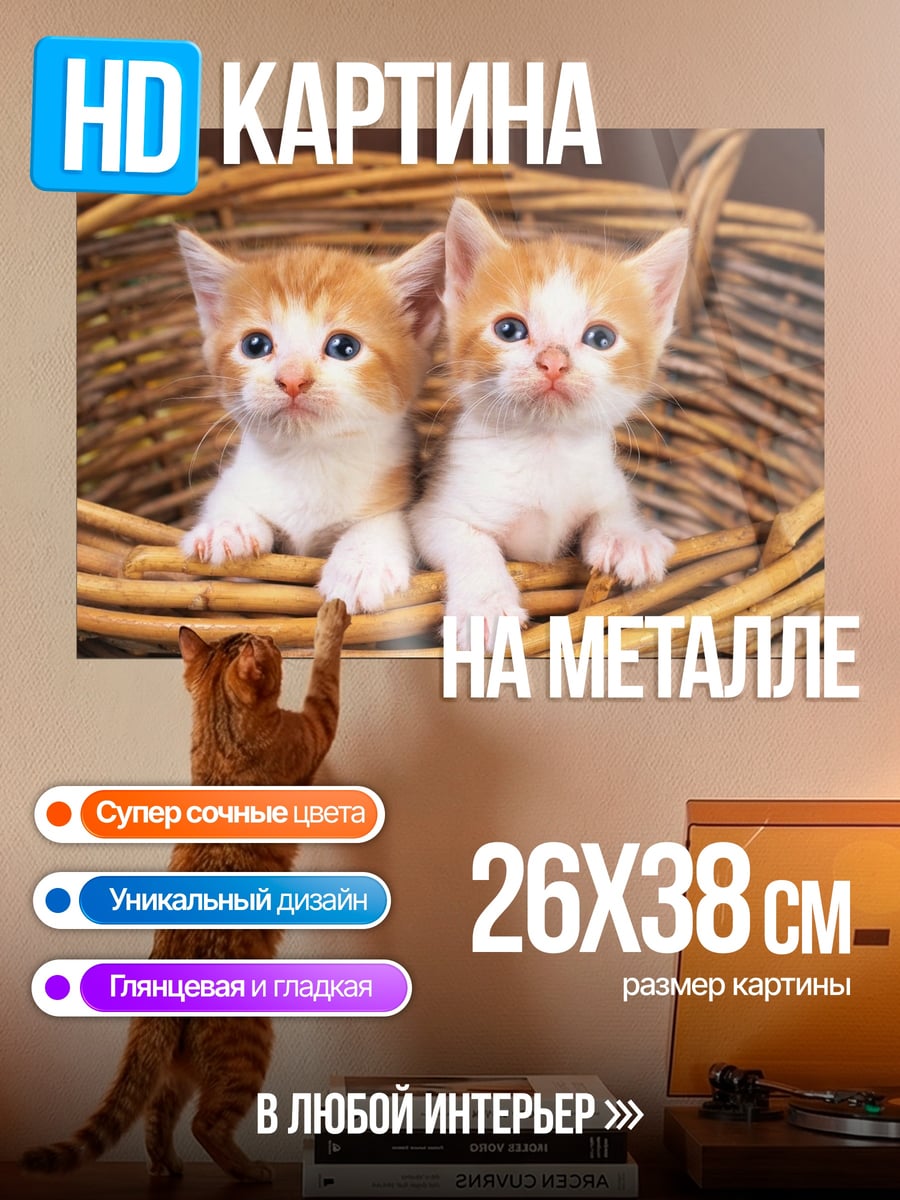 Картина на металле Два котенка