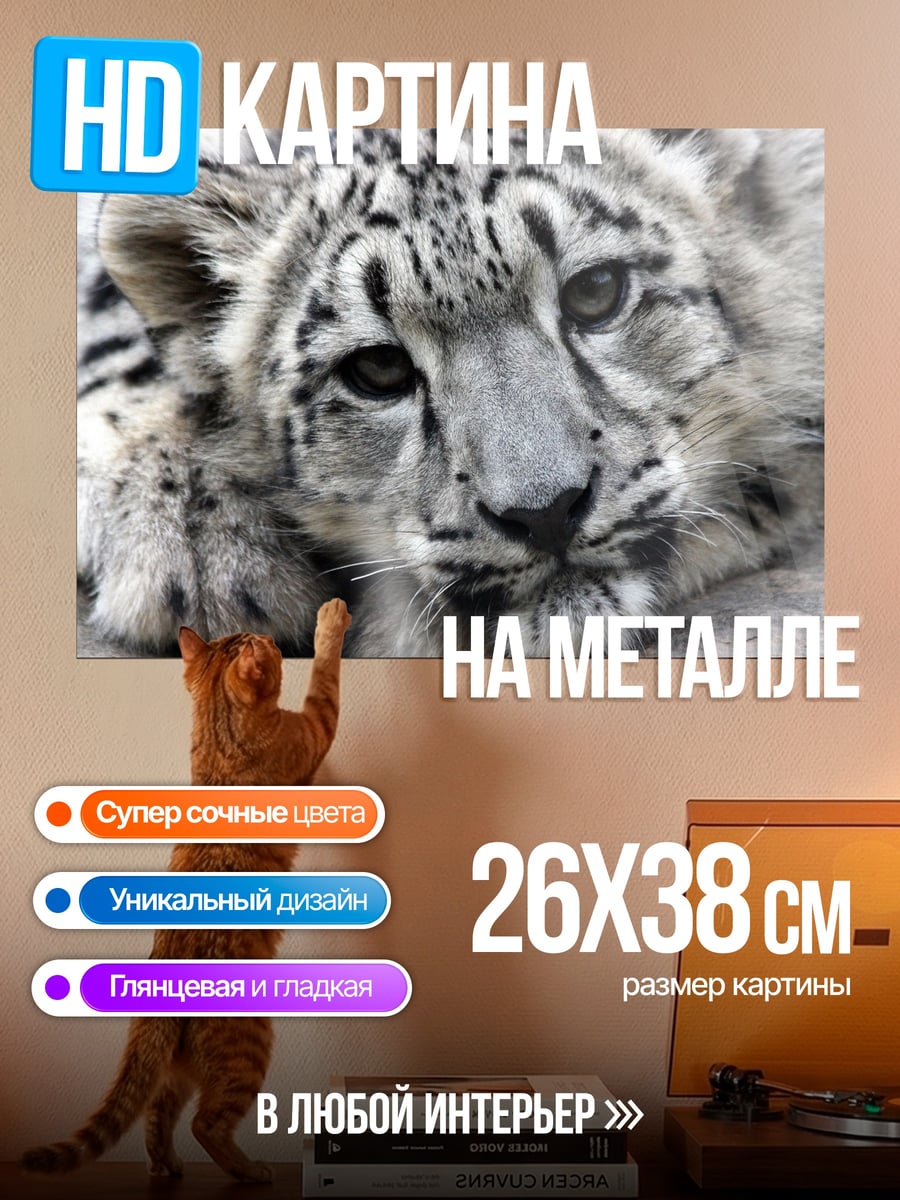 Картина на металле Снежный барс