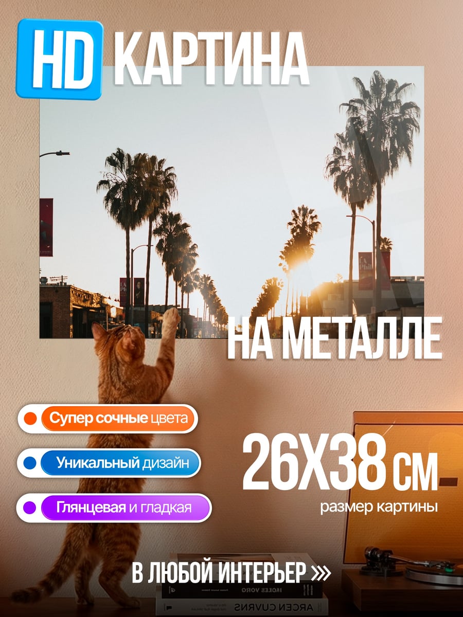 Картина на металле Закат на калифорнийской улице