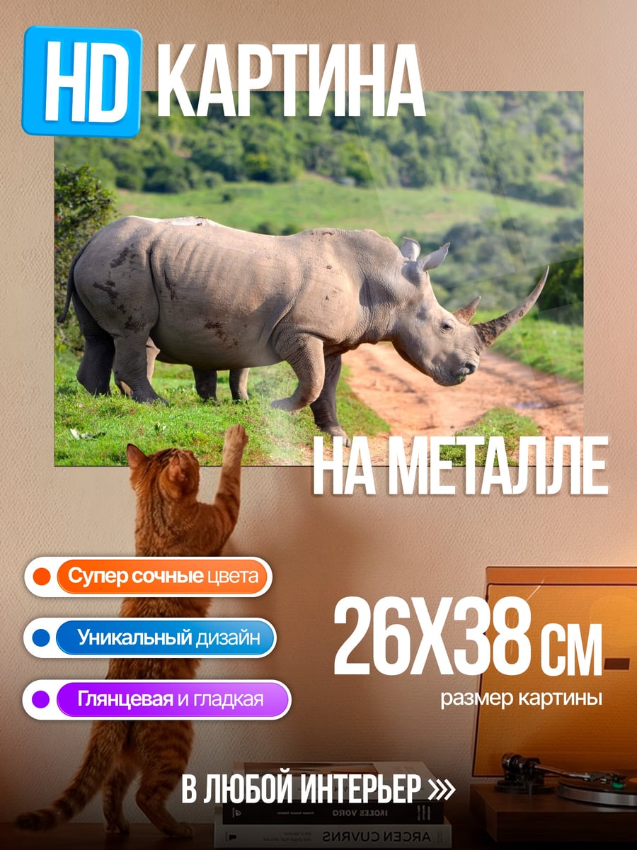 Картина на металле Носорог на дороге