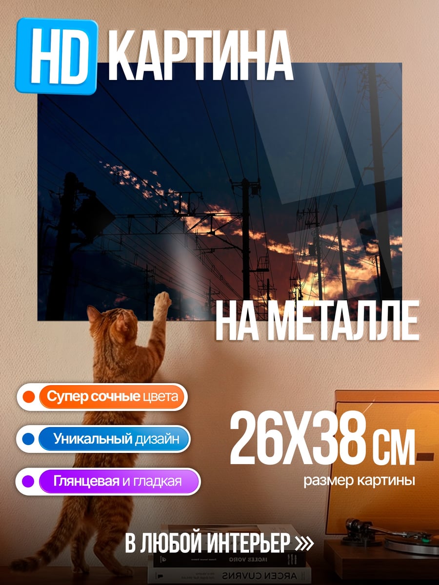 Картина на металле Закат над проводами