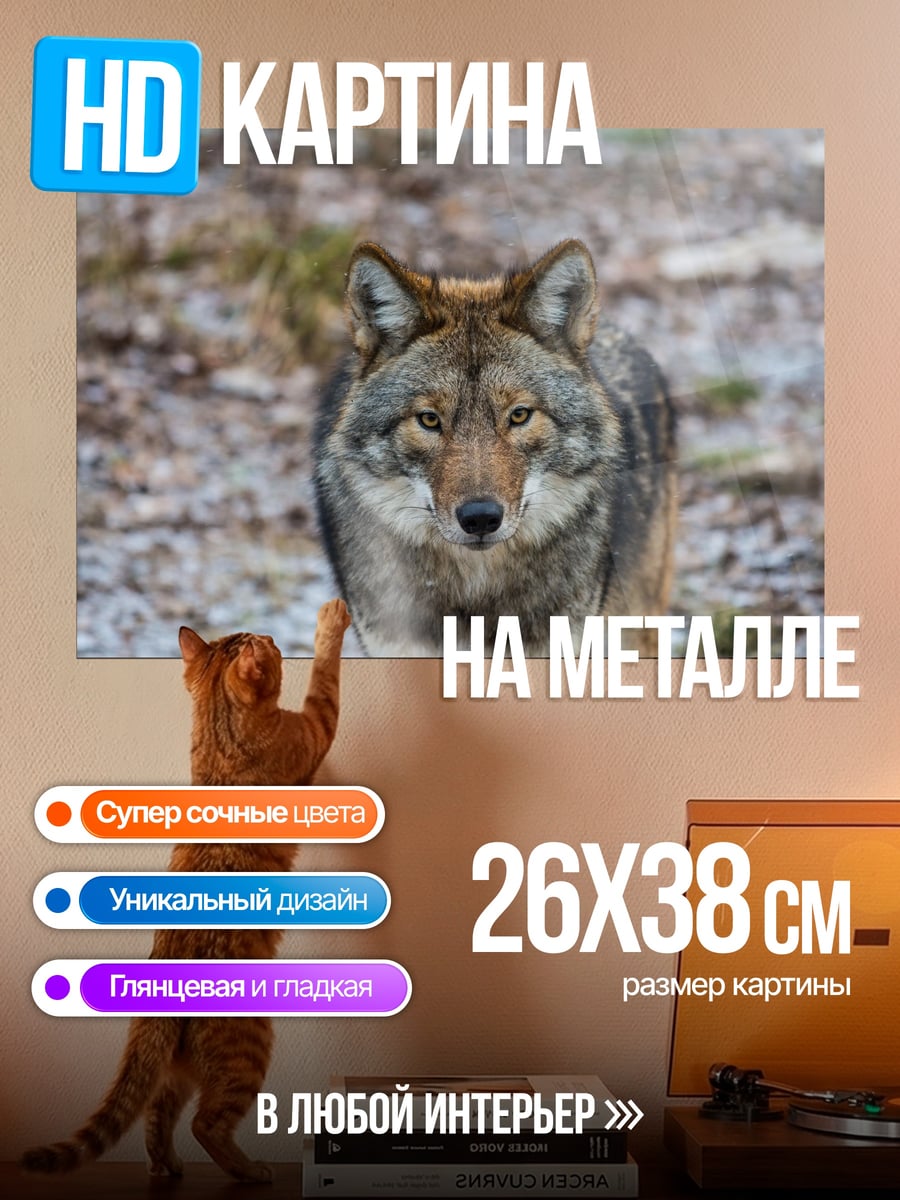 Картина на металле Волк