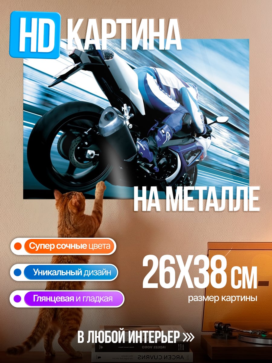 Картина на металле Гонщик на Мотоцикле