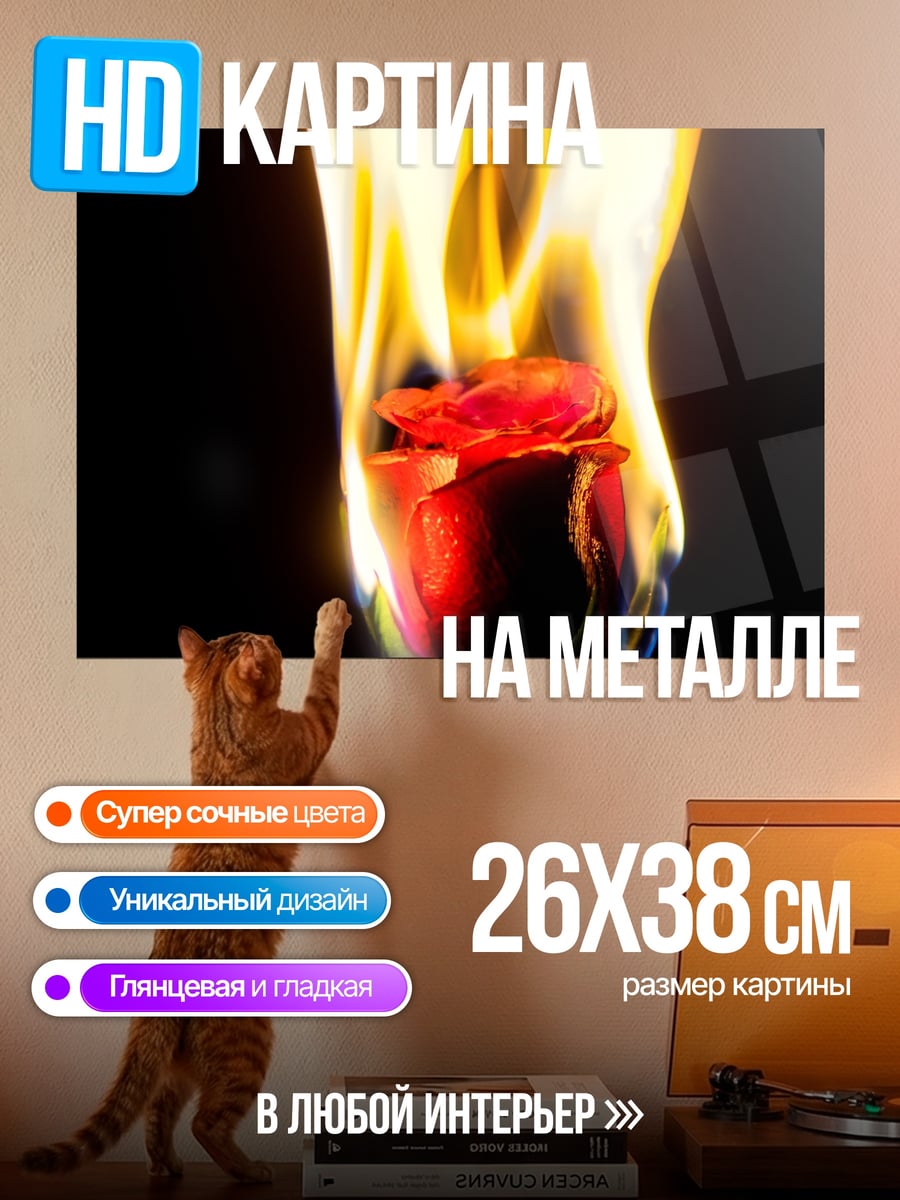 Картина на металле Роза в огне