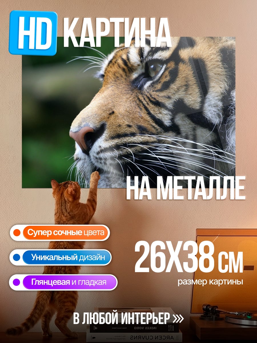 Картина на металле Тигриный взгляд