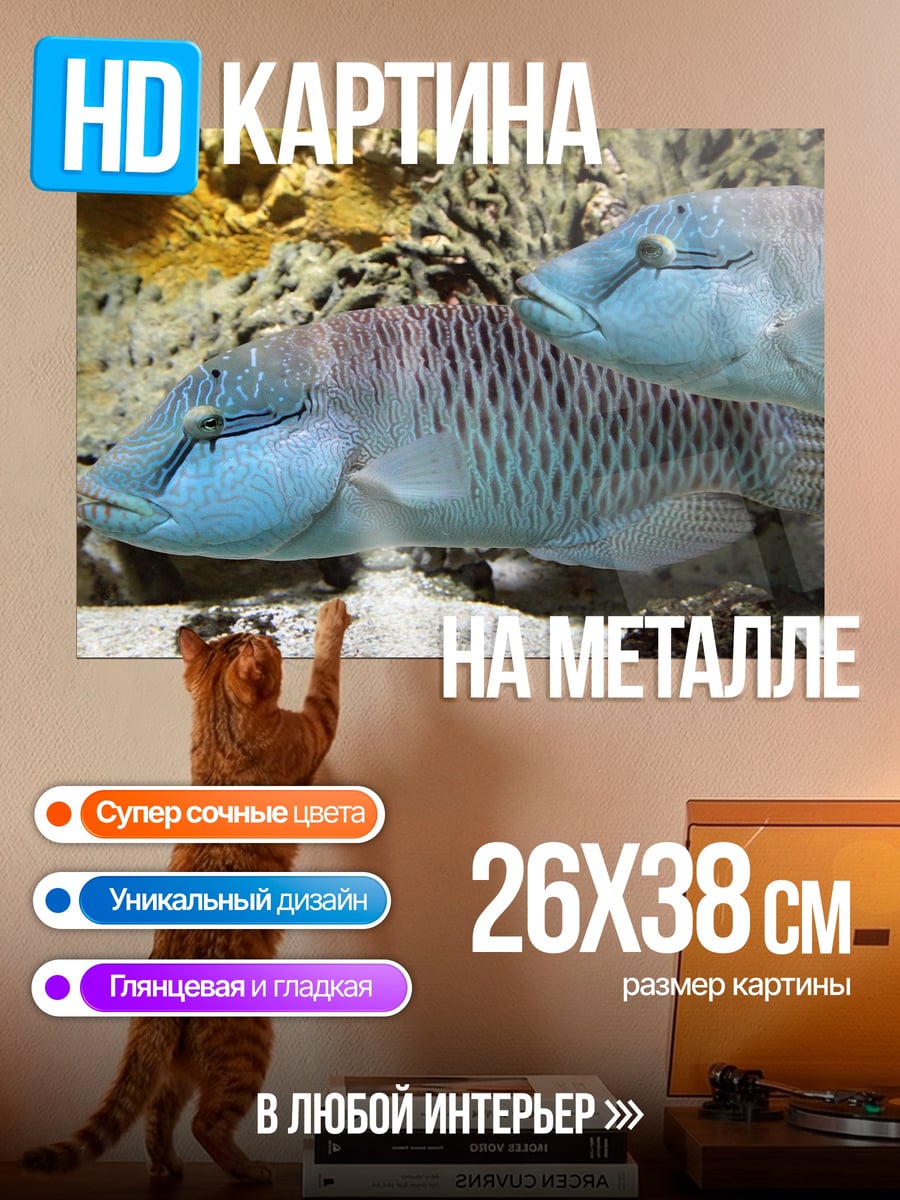Картина на металле Две рыбы Наполеон