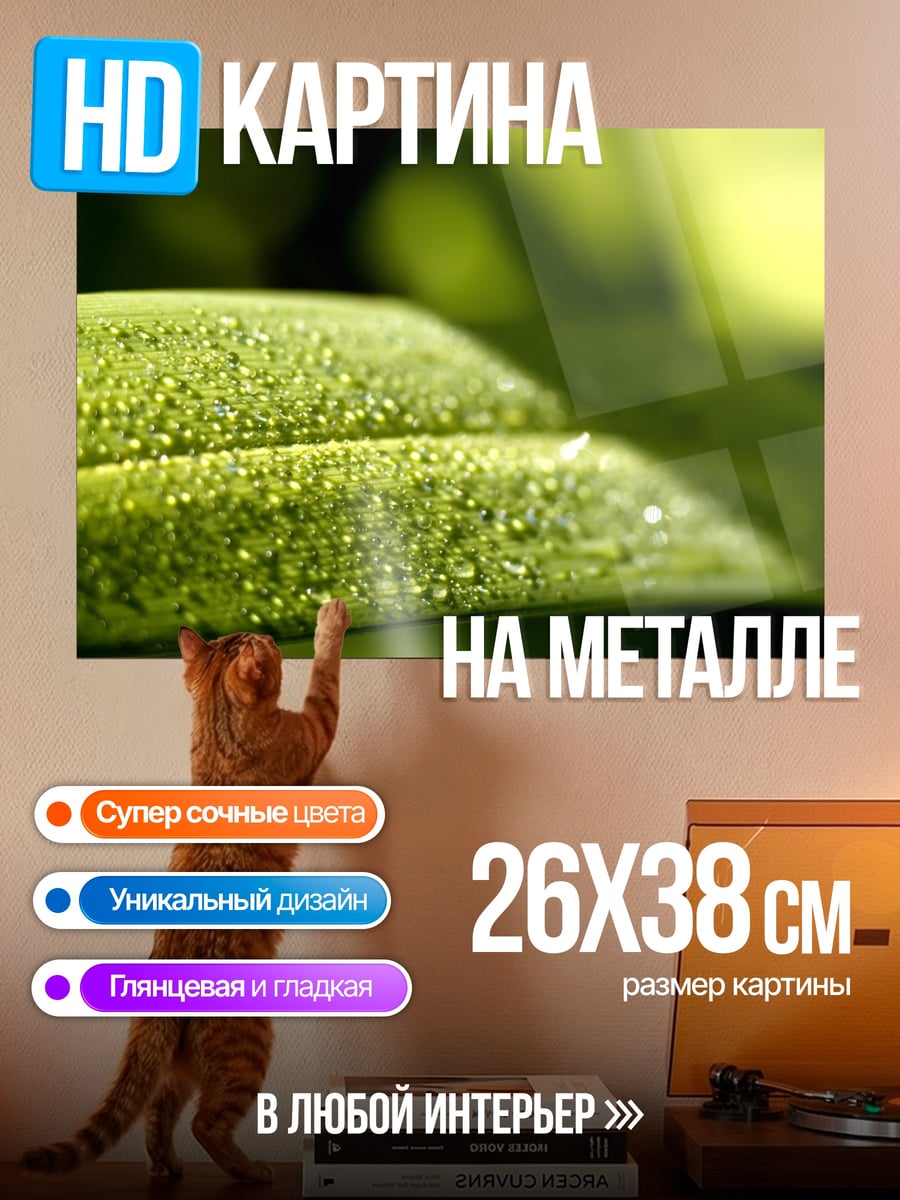 Картина на металле Капли на листе