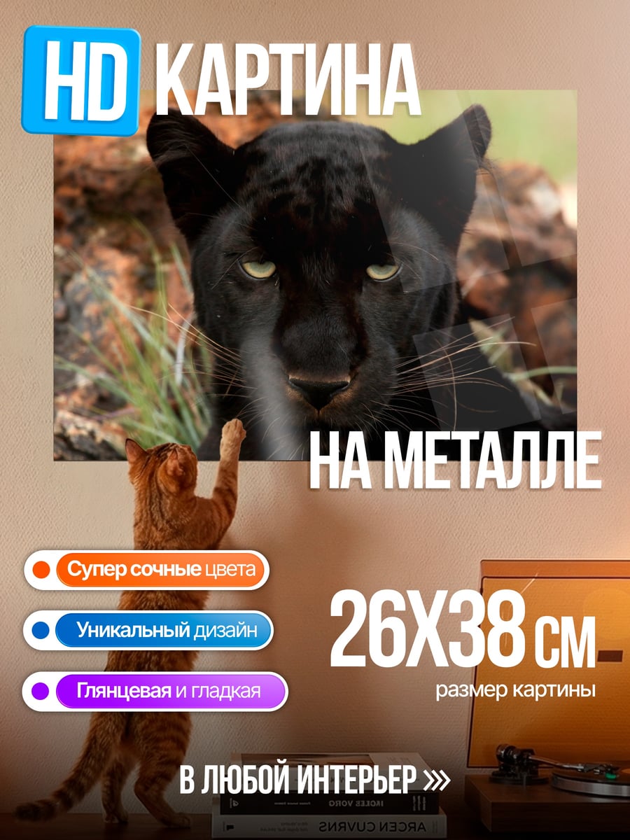 Картина на металле Черная пантера взгляд