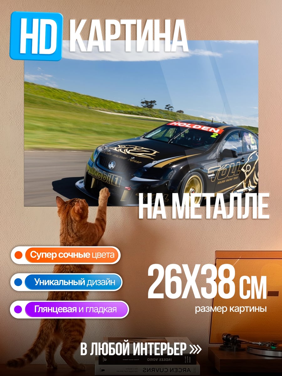 Картина на металле Черный гоночный автомобиль