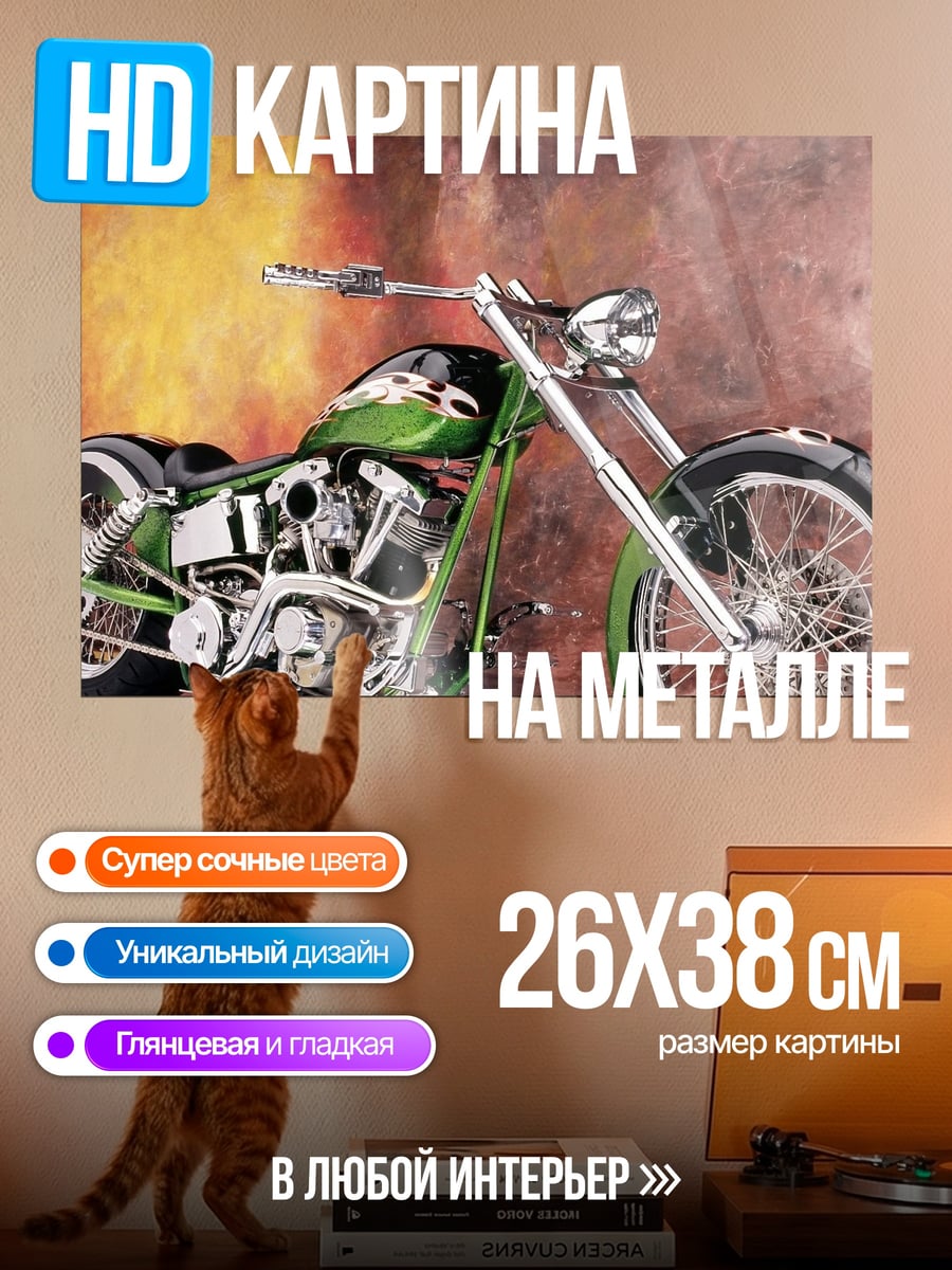 Картина на металле Чоппер