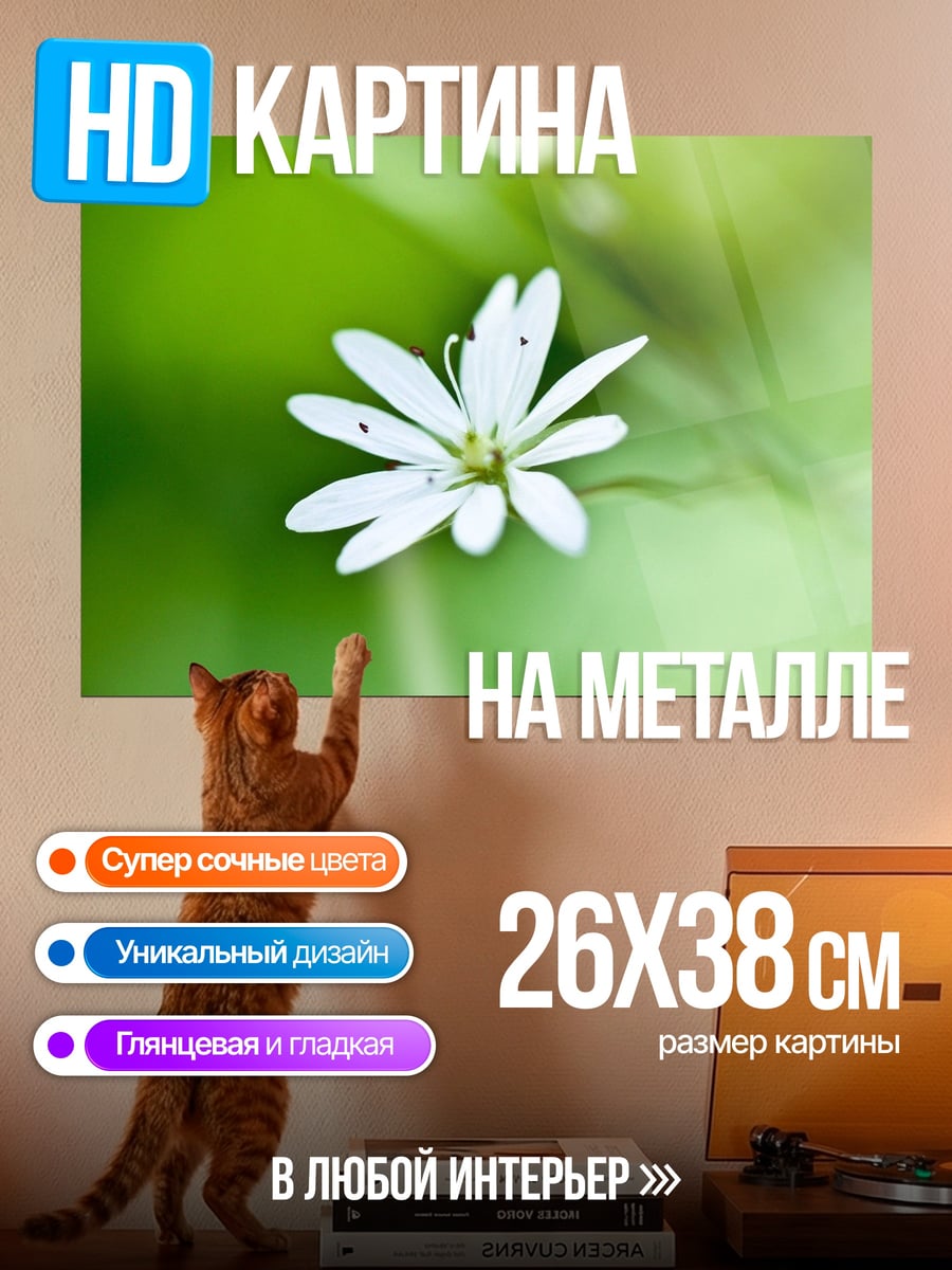 Картина на металле белый цветок