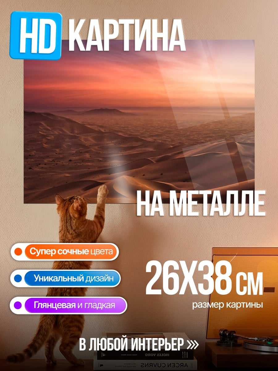 Картина на металле Пустынный закат