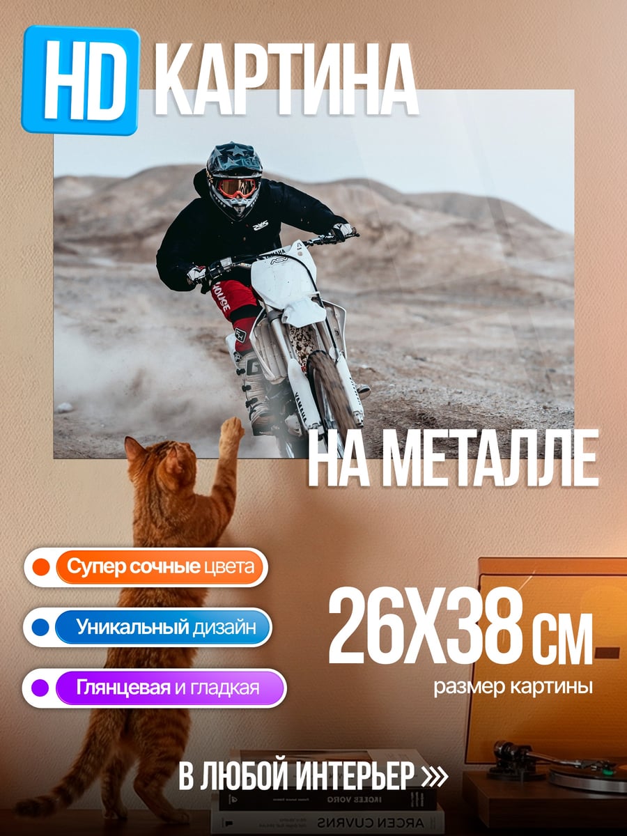 Картина на металле мотоциклист в пыли