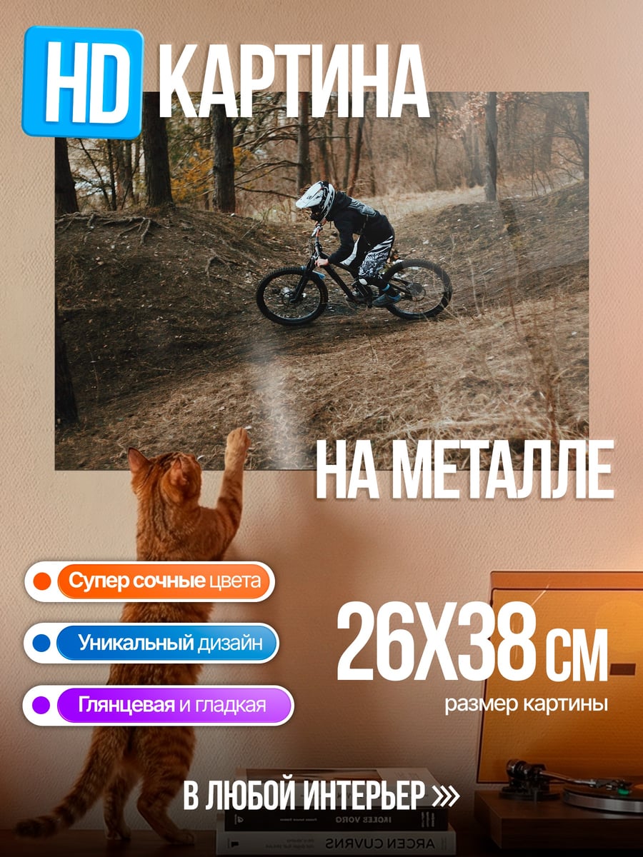 Картина на металле Велосипедист в лесу