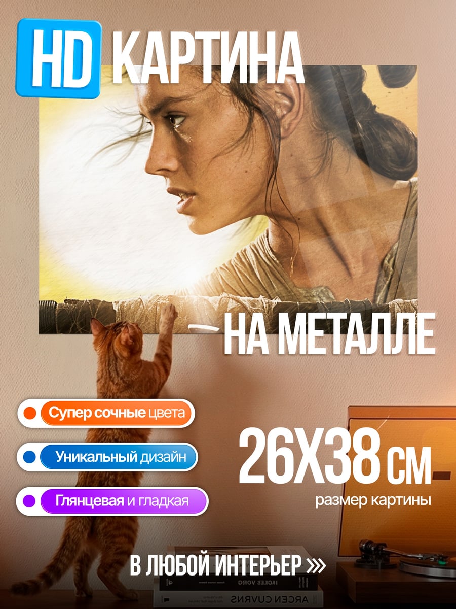 Картина на металле Рей из Звездных Войн