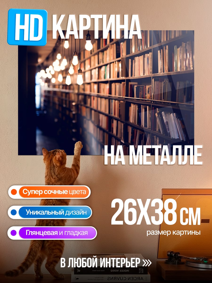 Картина на металле Книжные полки