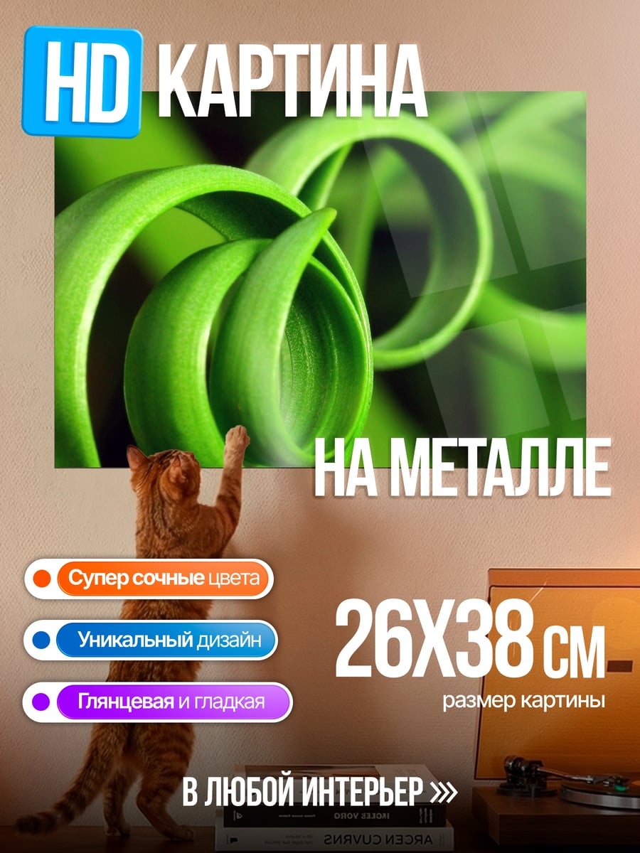Картина на металле Зеленый завиток растения