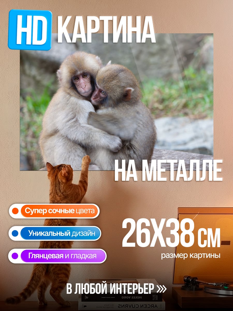 Картина на металле Две обезьяны обнимаются