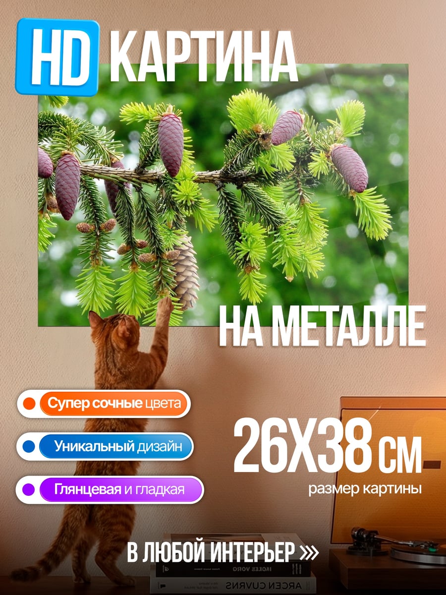 Картина на металле еловые шишки
