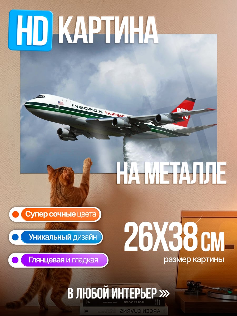 Картина на металле Самолет-амфибия в полете