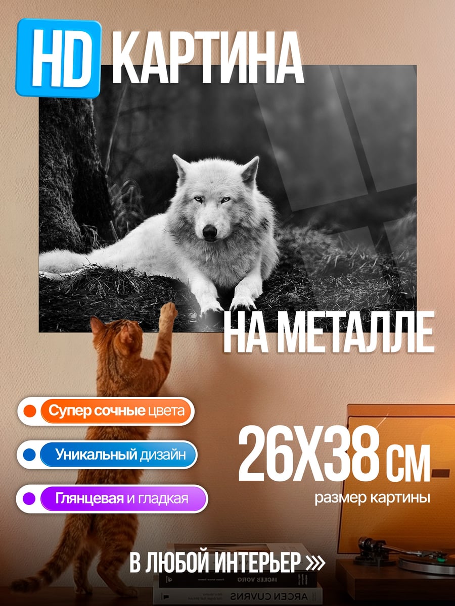 Картина на металле Белый волк в лесу