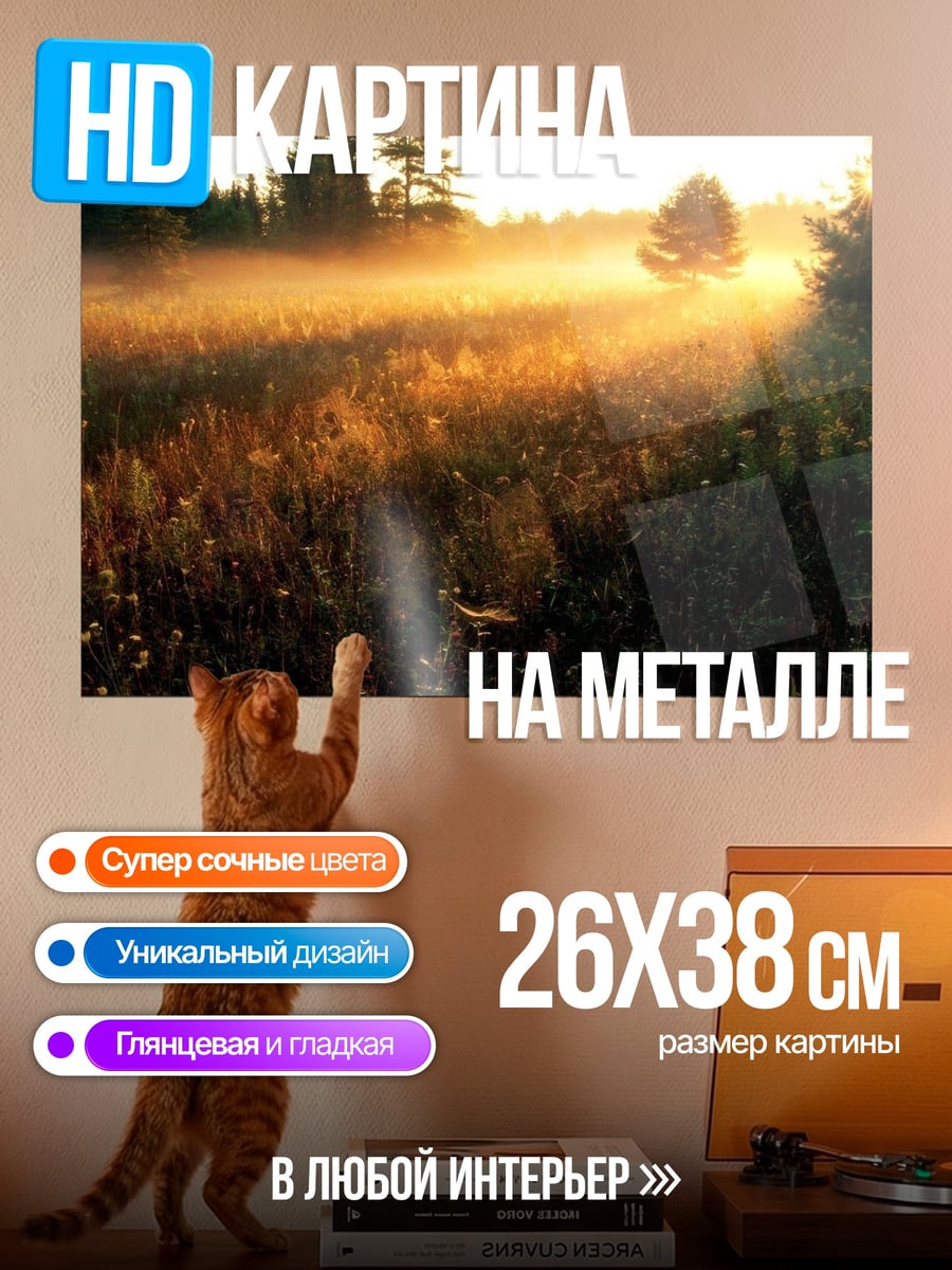 Картина на металле туманный рассвет