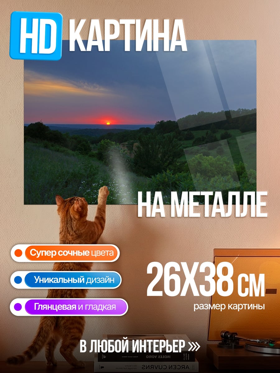 Картина на металле закат над полем