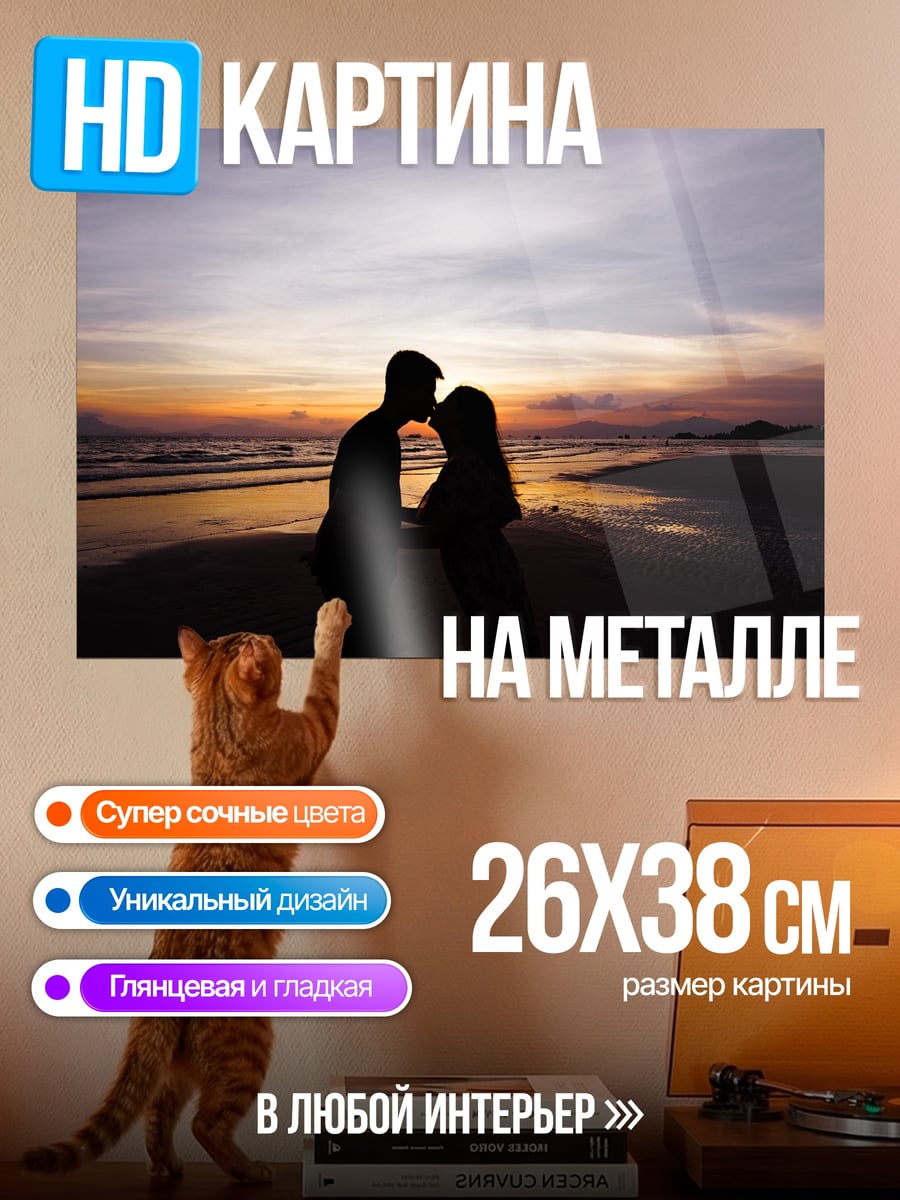 Картина на металле Пара на закате
