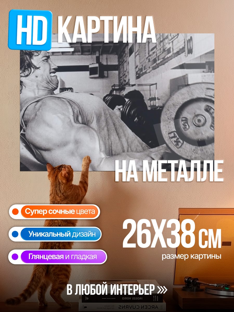 Картина на металле Арнольд Шварценеггер качок