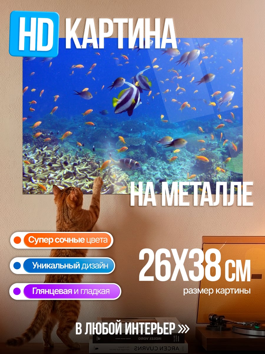 Картина на металле Подводный мир коралловый риф