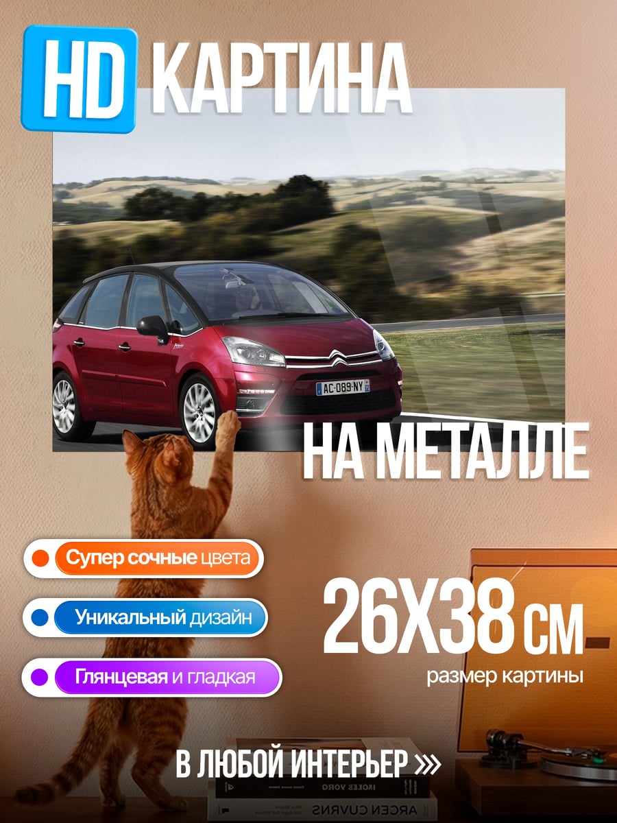 Картина на металле Citroen C4 Picasso