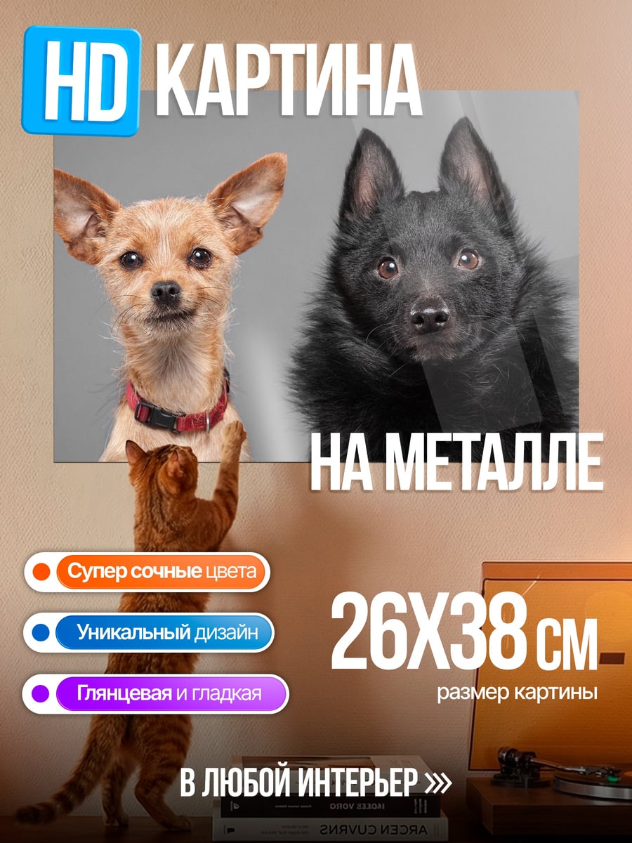 Картина на металле две собаки